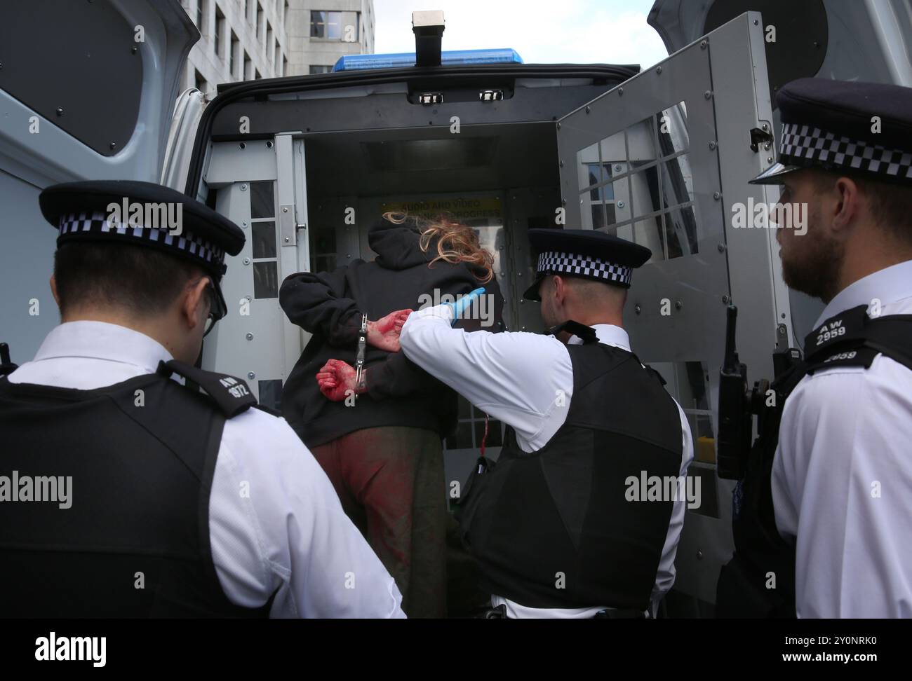 Londra, Inghilterra, Regno Unito. 3 settembre 2024. Gli agenti di polizia guidano un attivista in manette e verniciano le mani coperte in trasporto dopo averle liberate dal loro lucchetto. Gli attivisti bloccano l'ingresso principale degli uffici di APCO nello Strand a Londra, attaccandosi a una serratura estintore, dopo aver spruzzato l'esterno dell'edificio con vernice rosso sangue. Gli APCO sono assunti da Elbit Systems per fare pressione sui politici per loro conto. Palestine Actionists continua ad agire direttamente contro le aziende che consentono alla compagnia israeliana di armi Elbit Systems di operare nel Regno Unito. L'atto pro-palestinese Foto Stock