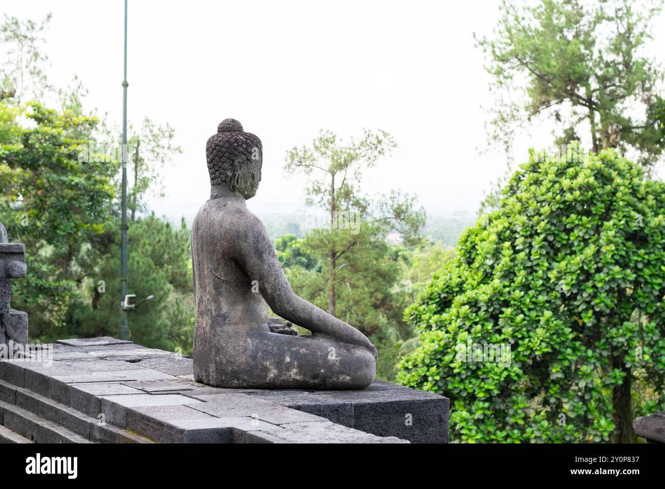 Statua di buddha in pietra che contempla un paesaggio verde a borobudur, un tempio buddista mahayana del IX secolo nella reggenza di magelang, giava, indonesia Foto Stock