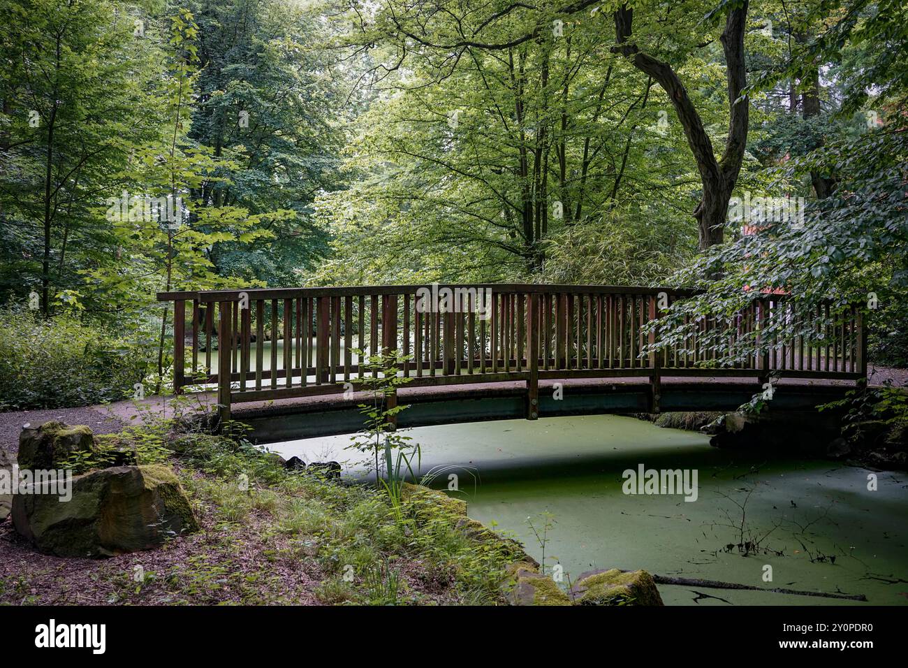 Troisdorf, Germania. Ponte di legno nel parco di Burg Wissem in estate. 22 luglio 2024 Foto Stock