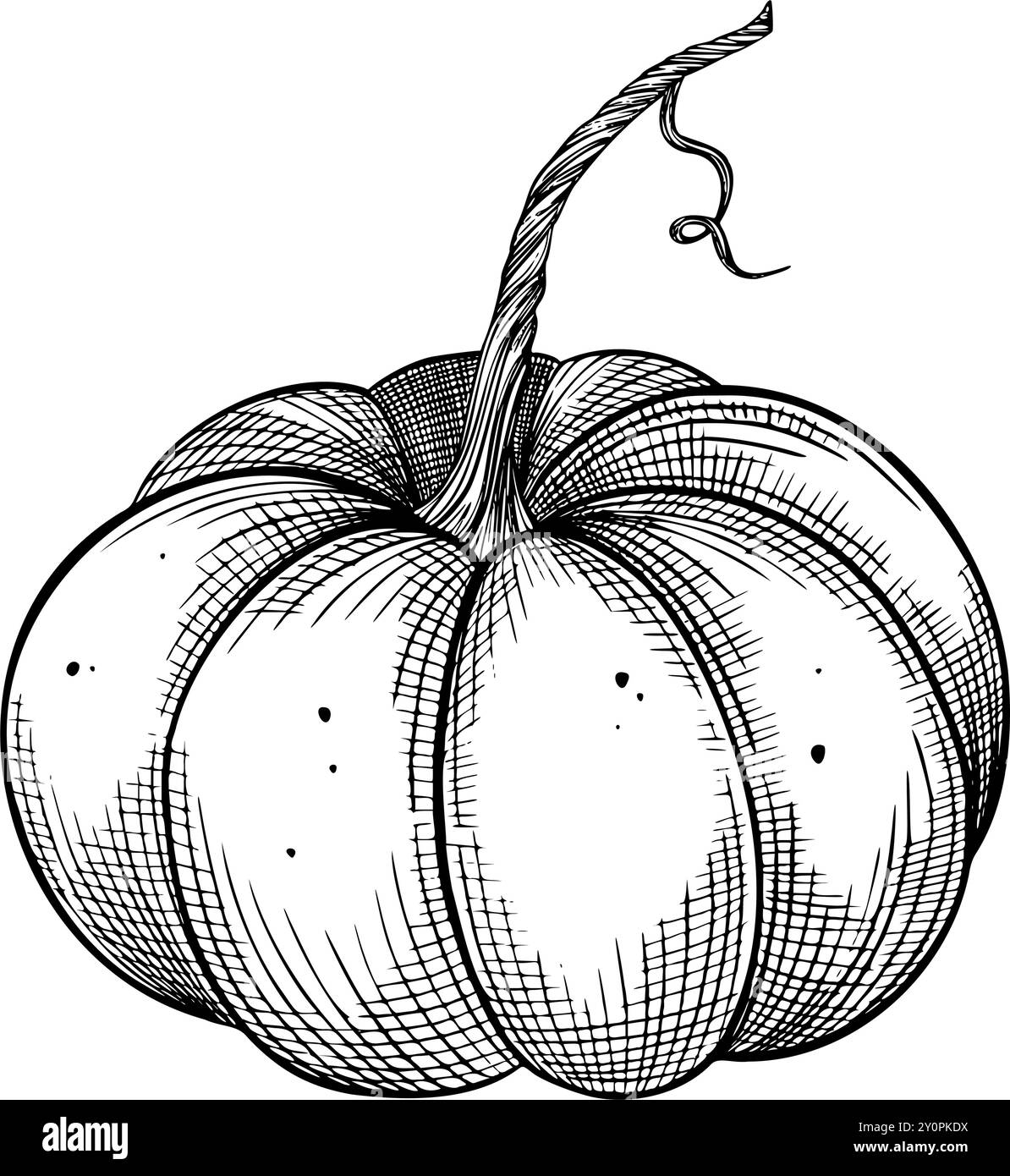 Illustrazione vettoriale della zucca per i disegni di autunno e Halloween. Disegno lineare di Gourd su sfondo isolato per l'invito al festival Harvest. Verdure di stagione in stile contorno dipinte da inchiostri neri. Illustrazione Vettoriale