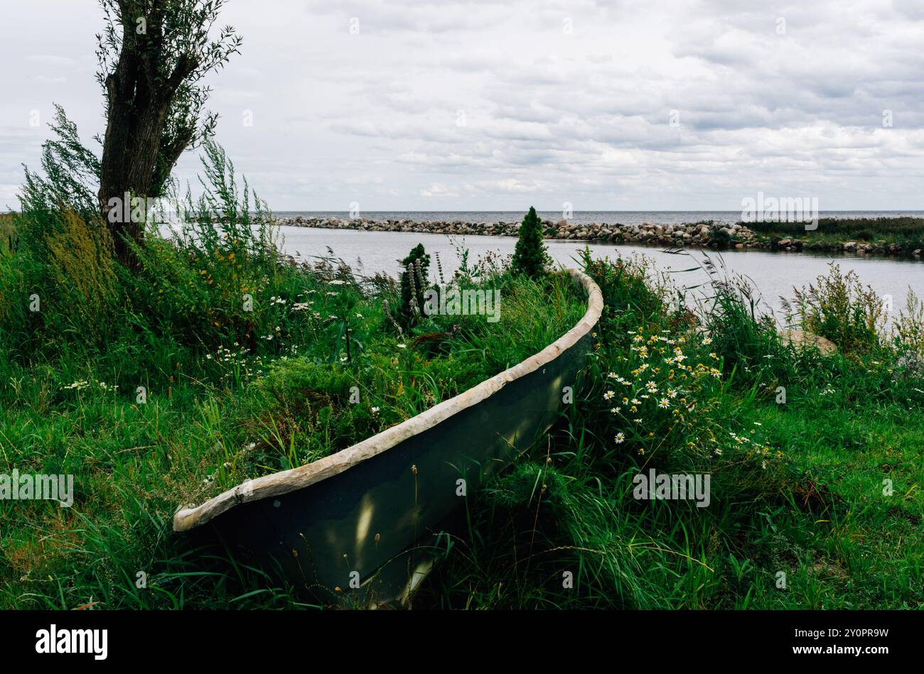 Una vecchia barca a remi, ricoperta di piante selvatiche, riposa in una lussureggiante area erbosa vicino a un corpo idrico. La natura recupera la nave sotto un cielo nuvoloso Foto Stock