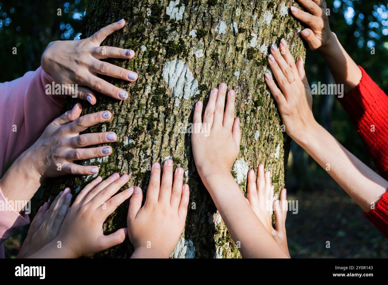 Un gruppo eterogeneo di individui in piedi insieme in natura, toccando delicatamente un albero vicino con le mani in un gesto armonioso Foto Stock
