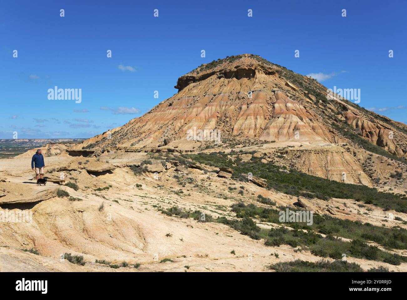 Un uomo e un cane in un arido paesaggio desertico corrono verso una grande collina sotto un cielo limpido, il Parco naturale Bardenas Reales, deserto, semi-deserto, Navarra, N Foto Stock