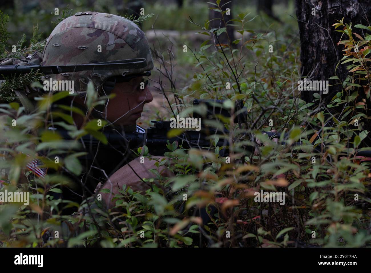 Il concorrente della U.S. Army Reserve Best Squad Competition, il sergente Russell McCune, 200th Military Police Command, fornisce una copertura di sicurezza durante l'evento Dismounted Patrol and Recovery presso Joint base McGuire-Dix-Lakehurst New Jersey, 2 settembre 2024. L'evento Dismounted Patrol and Recovery è uno degli eventi su cui i concorrenti sono valutati durante la competizione Army Reserve Best Squad. I soldati della riserva dell'esercito di tutta la nazione gareggiano nel 2024 BSC, una competizione annuale che riunisce i migliori soldati e squadre provenienti da tutta la riserva dell'esercito degli Stati Uniti per guadagnare il titolo di "Best Warrior" e " Foto Stock