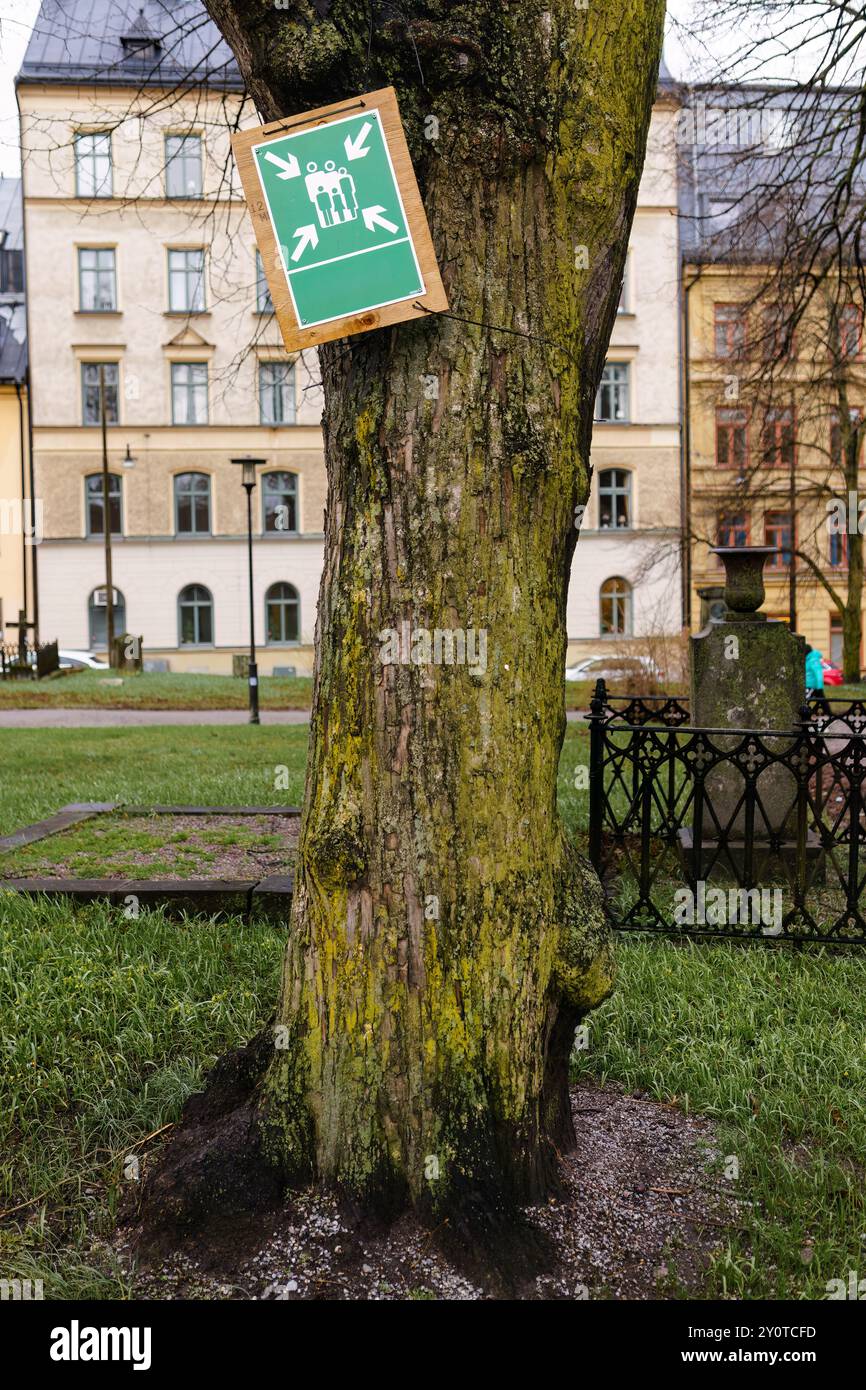 Cartello del punto di incontro sull'albero nel parco cittadino Foto Stock