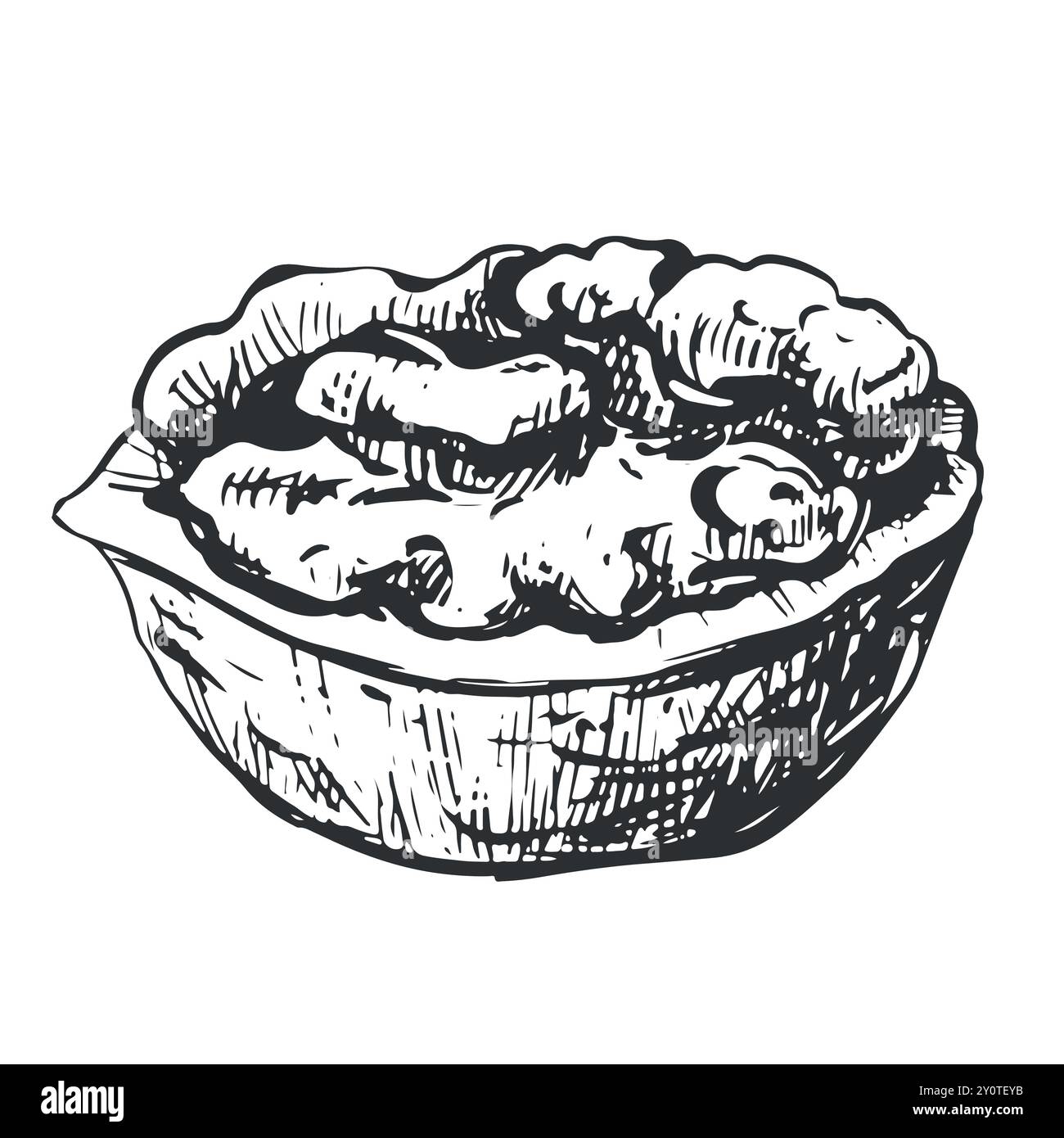 Schizzo disegnato a mano di illustrazione vettoriale delle noci. Aprire le icone di schizzo dei kernel di noce e degli shell. Cibo biologico fresco. Spuntino vegetariano. Nero e bianco Illustrazione Vettoriale