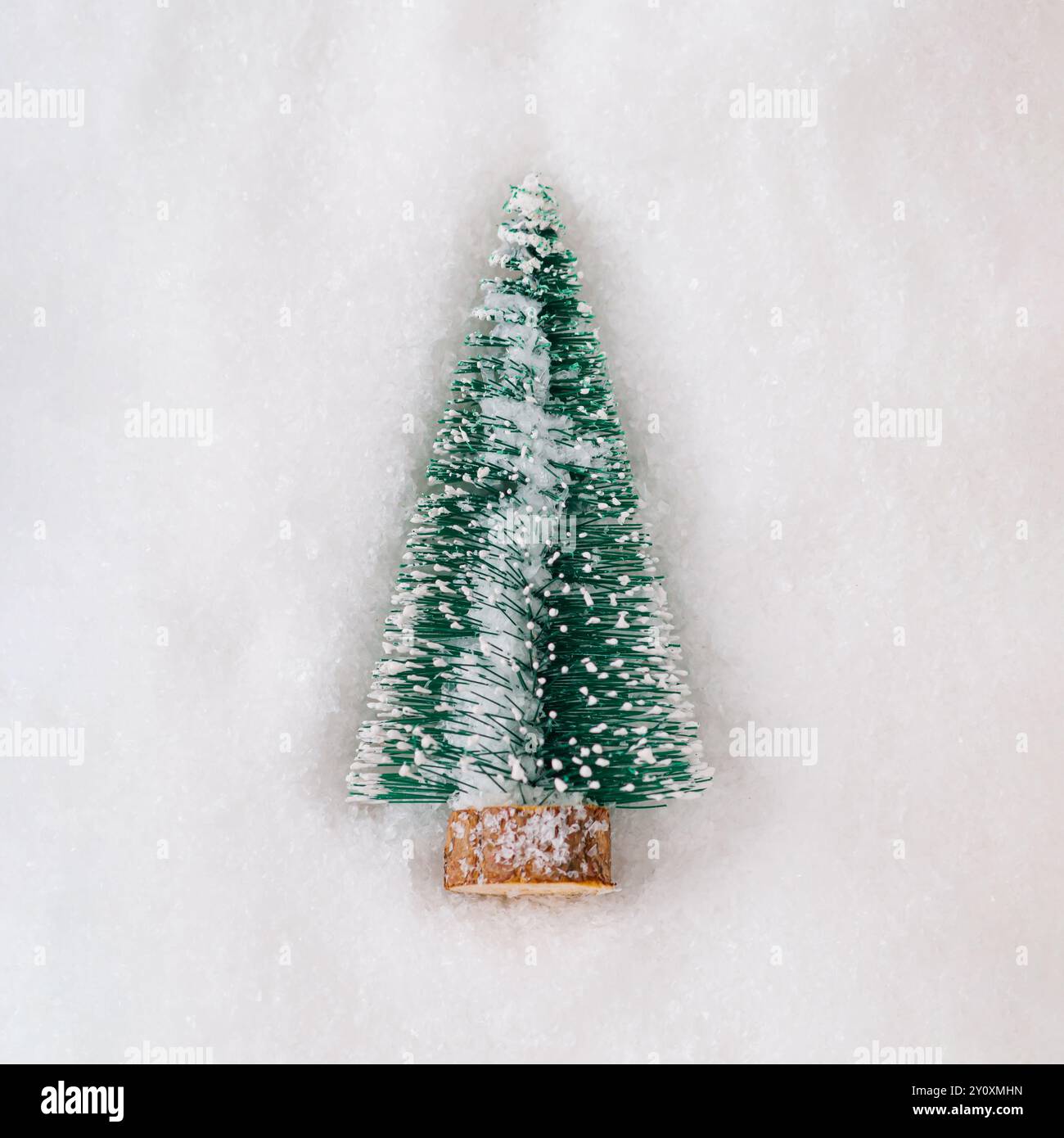 Albero di Natale innevato verde sulla neve. Concetto minimale e semplicità. Un'idea per Natale e Capodanno. Layout per le festività invernali. Posizione piatta. Foto Stock