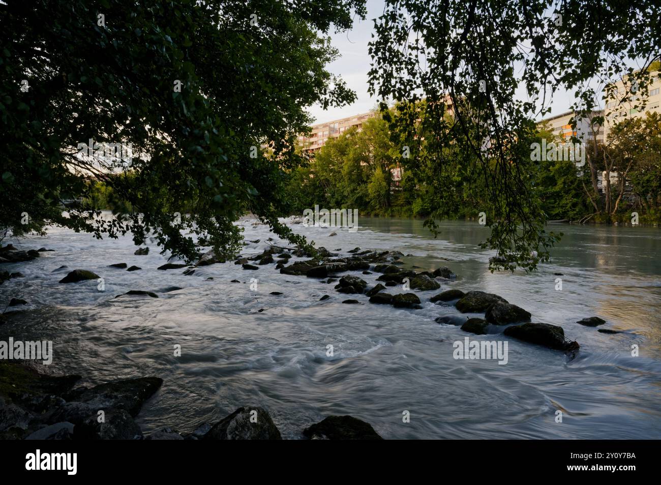 Correnti fluviali che scorrono su rocce incorniciate da lussureggiante vegetazione e da edifici lontani in una serata tranquilla sulle acque del fiume Arve Foto Stock