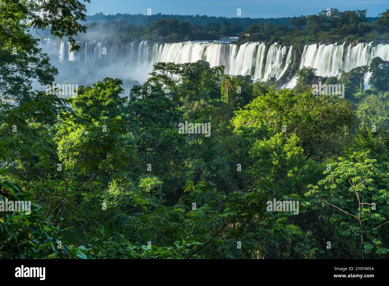 Foresta pluviale tropicale nel Parco Nazionale delle Cascate di Iguazu in Argentina. Sopra gli alberi da sinistra a destra si trovano il salto Esccondido o Hidden Waterfalll, San Foto Stock