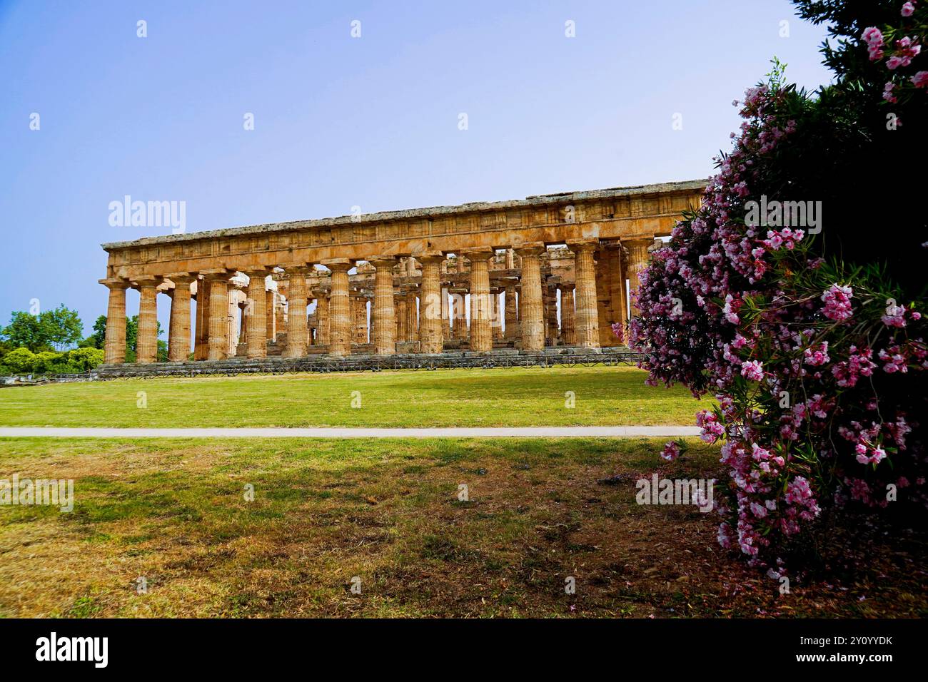 Immagini a colori e fotografi la magnificenza dei templi e degli scavi archeologici dell'antica città greca di Paestum, Italia, Campania, sale Foto Stock