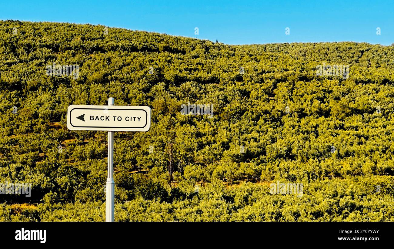 Un cartello con la scritta "ritorno alla città" adagiato su un vasto paesaggio verde. L'immagine trasmette temi di direzione, scelta e contrasto tra natura Foto Stock