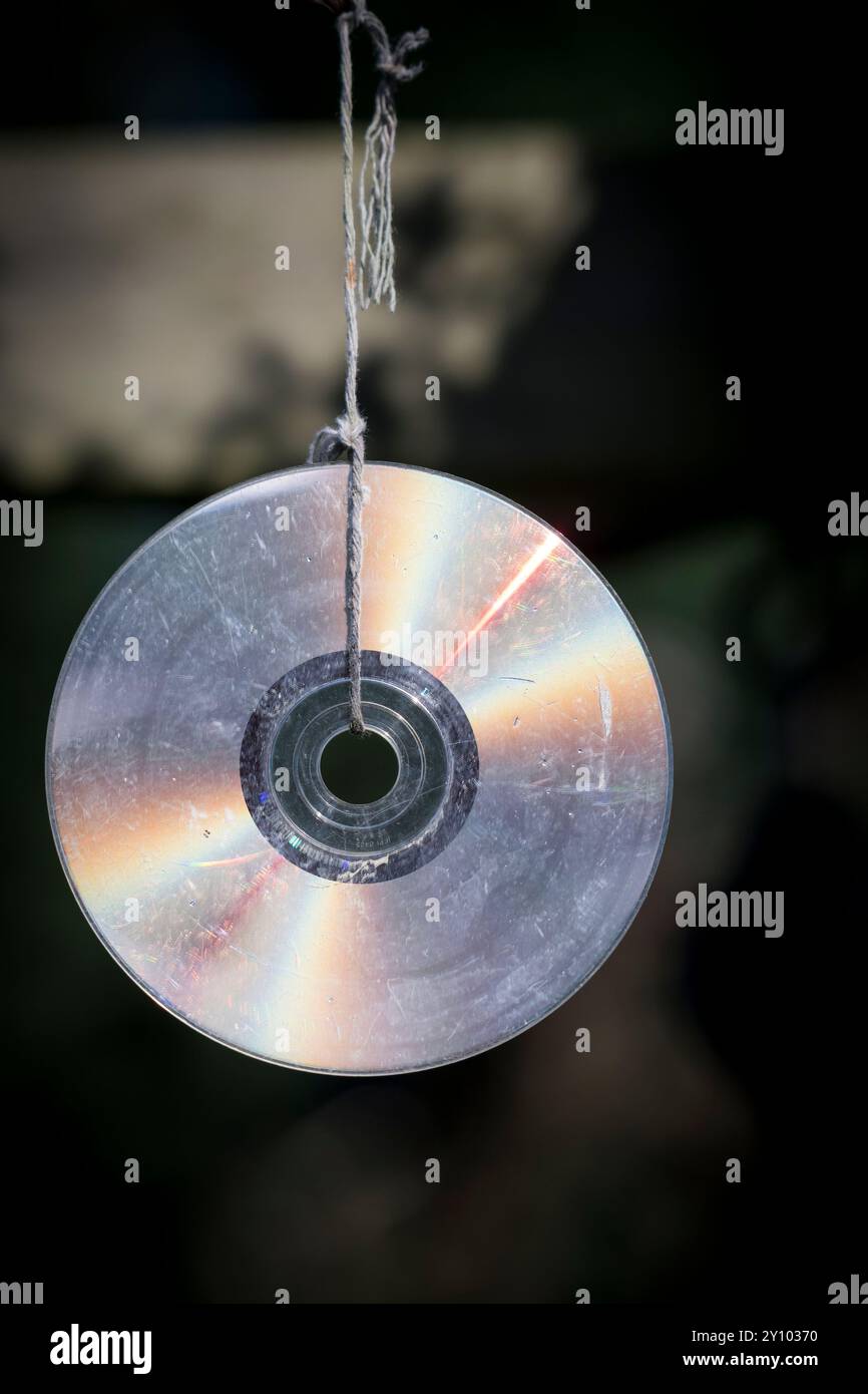 CD-rom/DVD Foto Stock