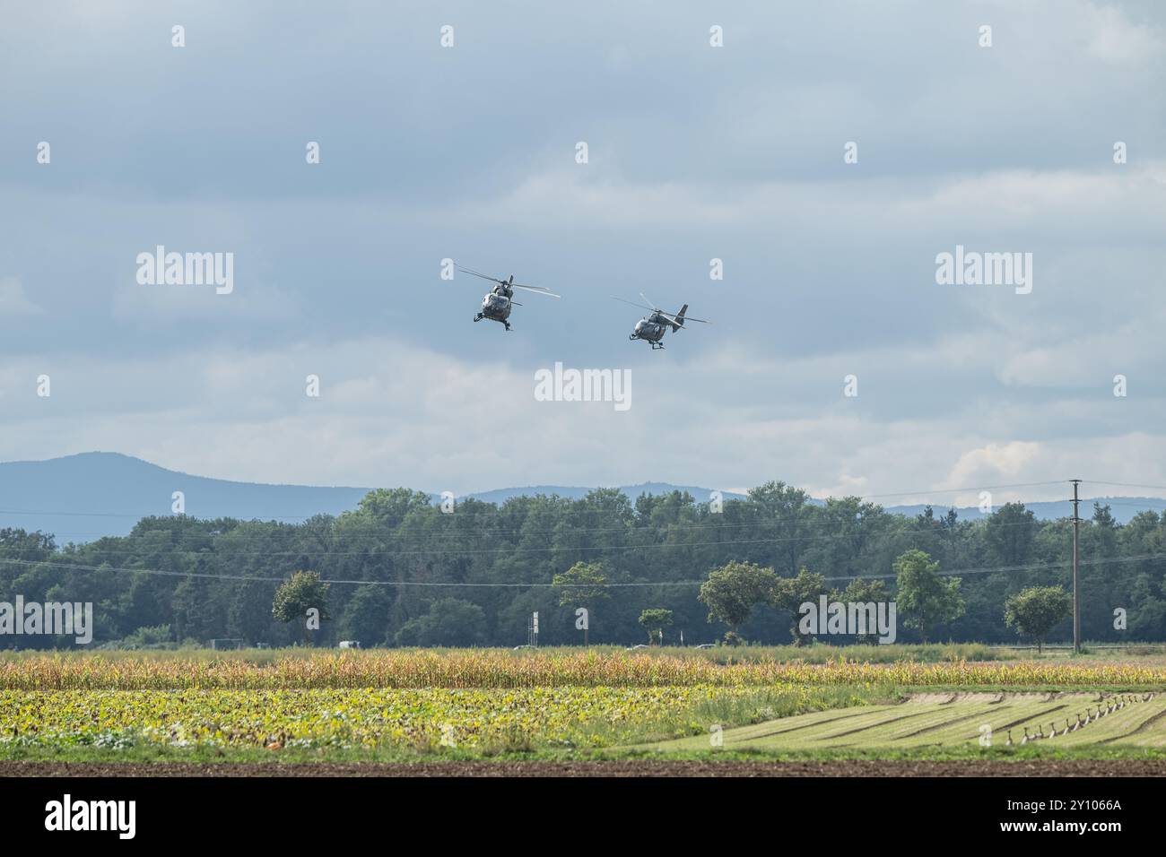 , Deutschland, Rheinland-Pfalz, Zwischen Speyer und Waldsee, 04.09.2024, Teil einer serie: Militärhubschrauber fliegen in Formation über eine weite, Foto Stock