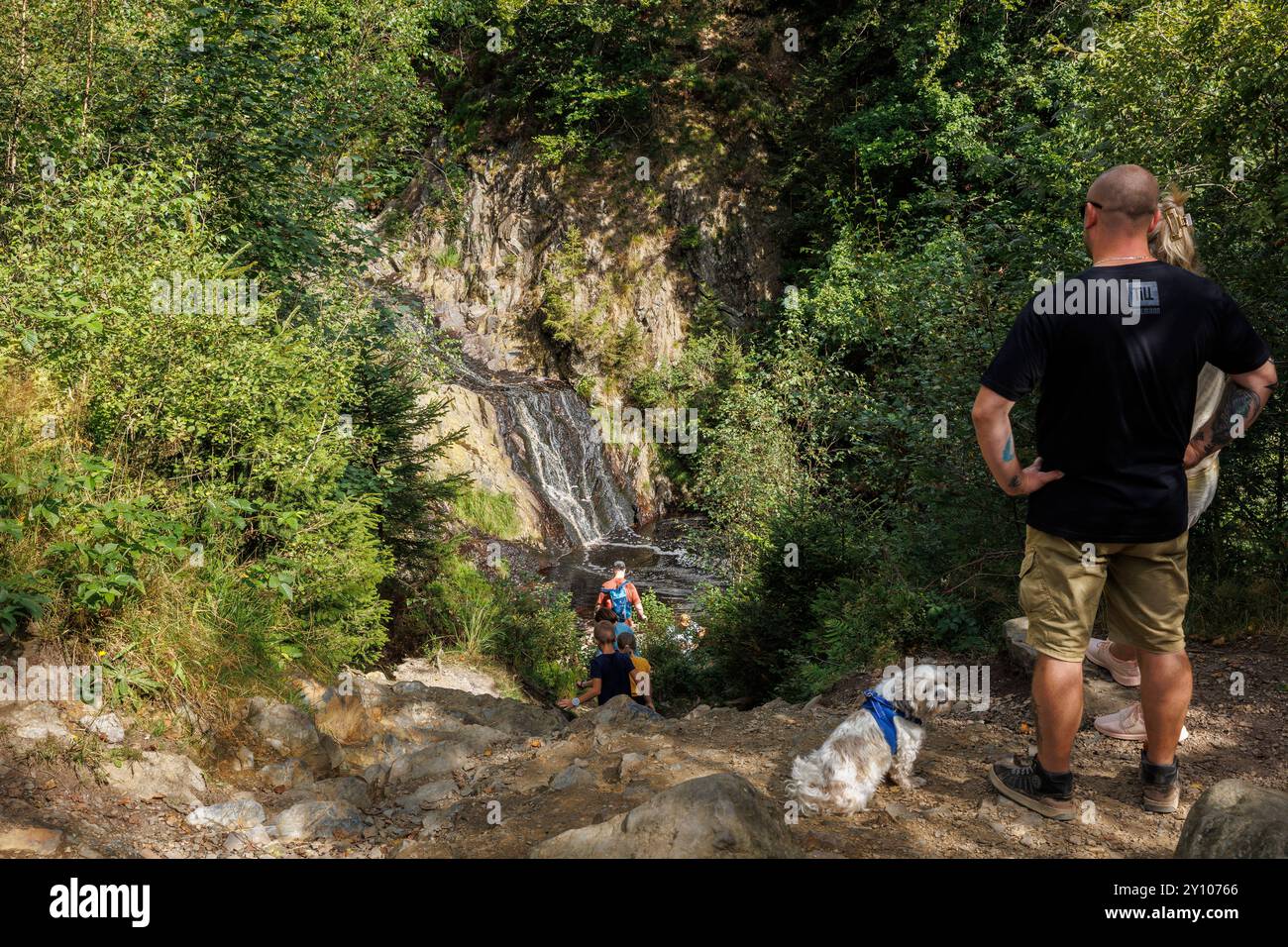 Escursionisti presso la cascata del torrente Bayehon vicino a Ovifat, nelle High Fens. Con un'altezza di 9 metri, è la cascata più alta del Belgio. Wandere Foto Stock