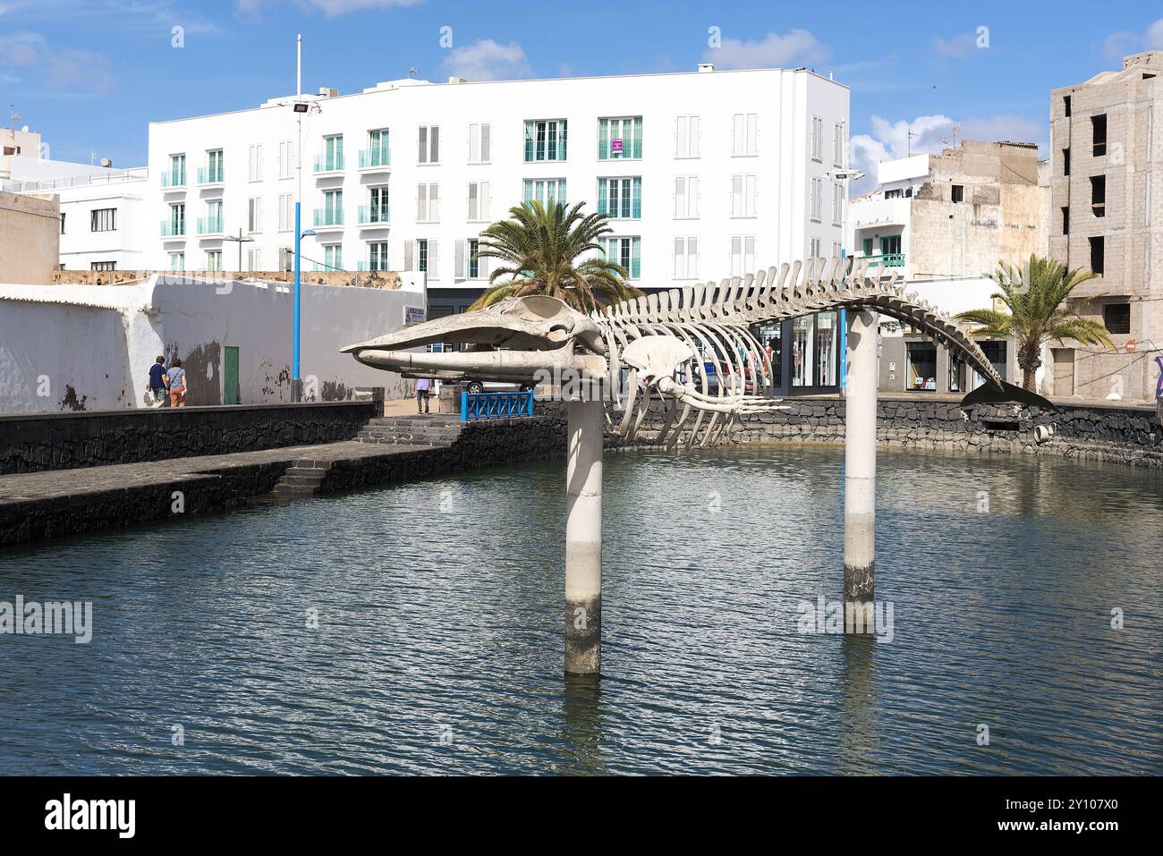 Mostra di uno scheletro di balena di Bryde. Lanzarote, Areccife, Canarie, Spagna. Foto Stock