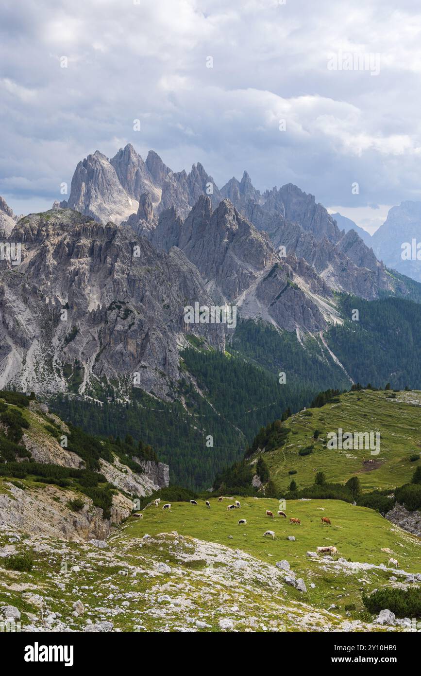 Vista dalle escursioni vicino alle tre Cime di Lavaredo Foto Stock