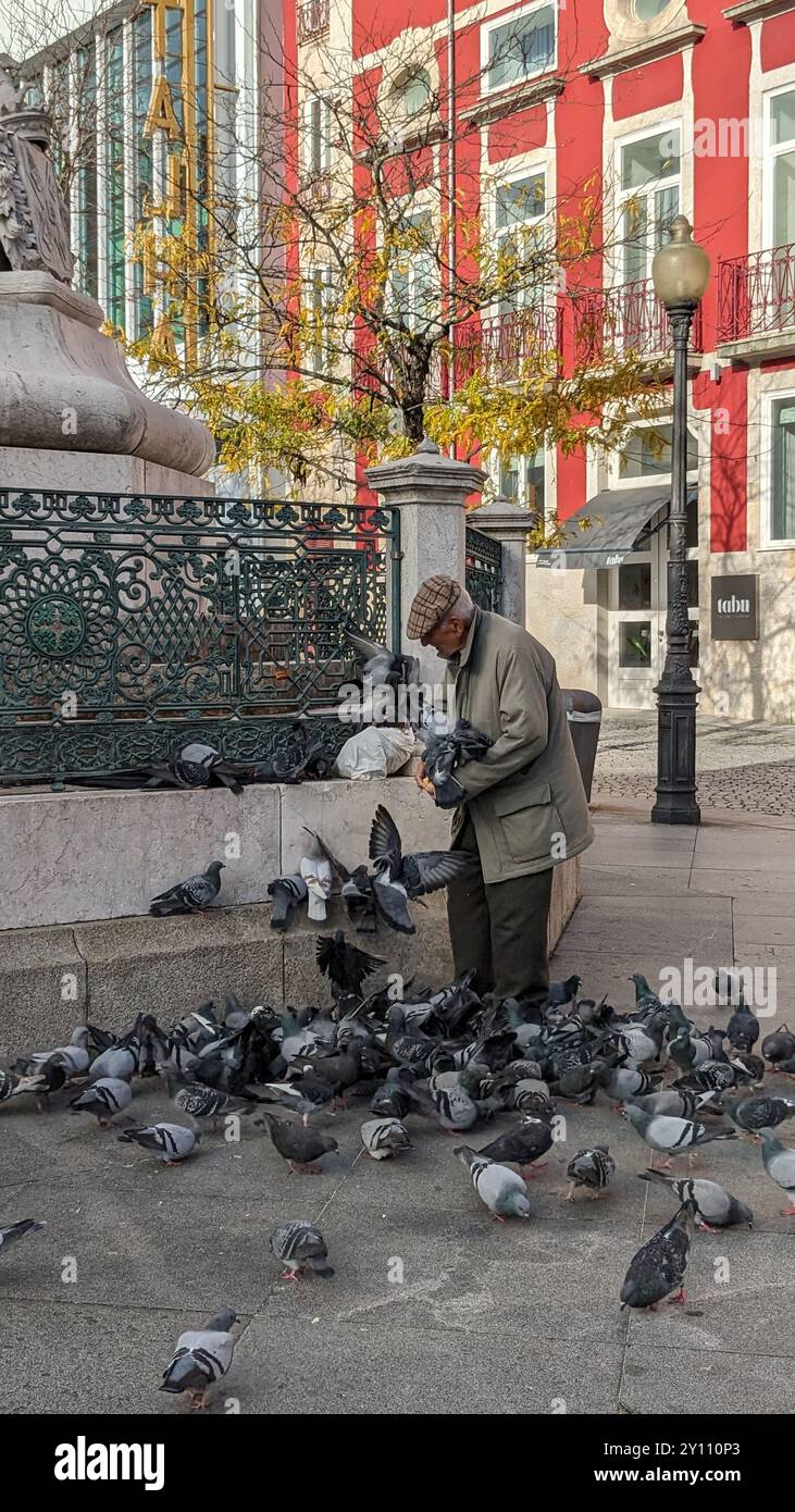 Porto, Portogallo - 15 marzo 2024: Anziani che danno da mangiare ai piccioni vicino al monumento di Pietro V a Praca da Batalha, circondato da edifici colorati e urb Foto Stock