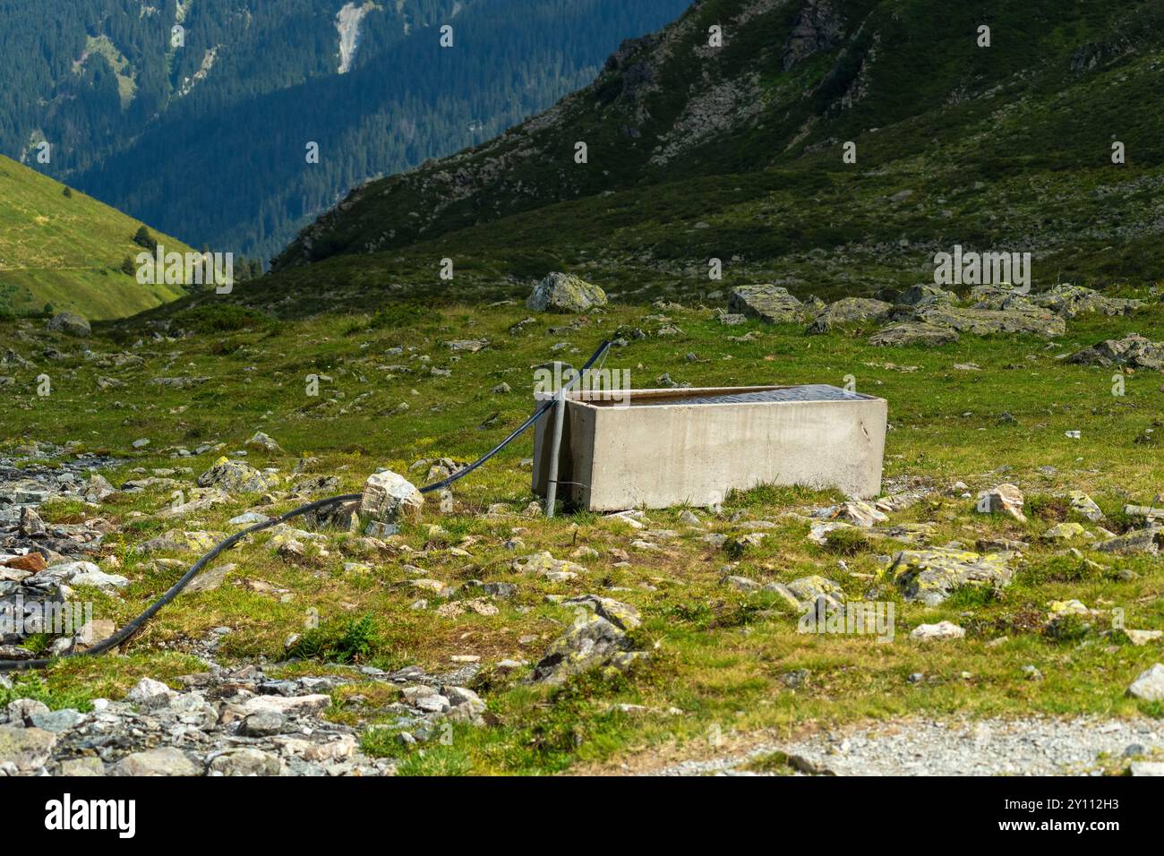 fontana tra ripide montagne nel Vorarlberg, montagna rocciosa e rocciosa con prati alpini e campi di ghiaia, sentiero escursionistico attraverso pascolo, acqua Foto Stock