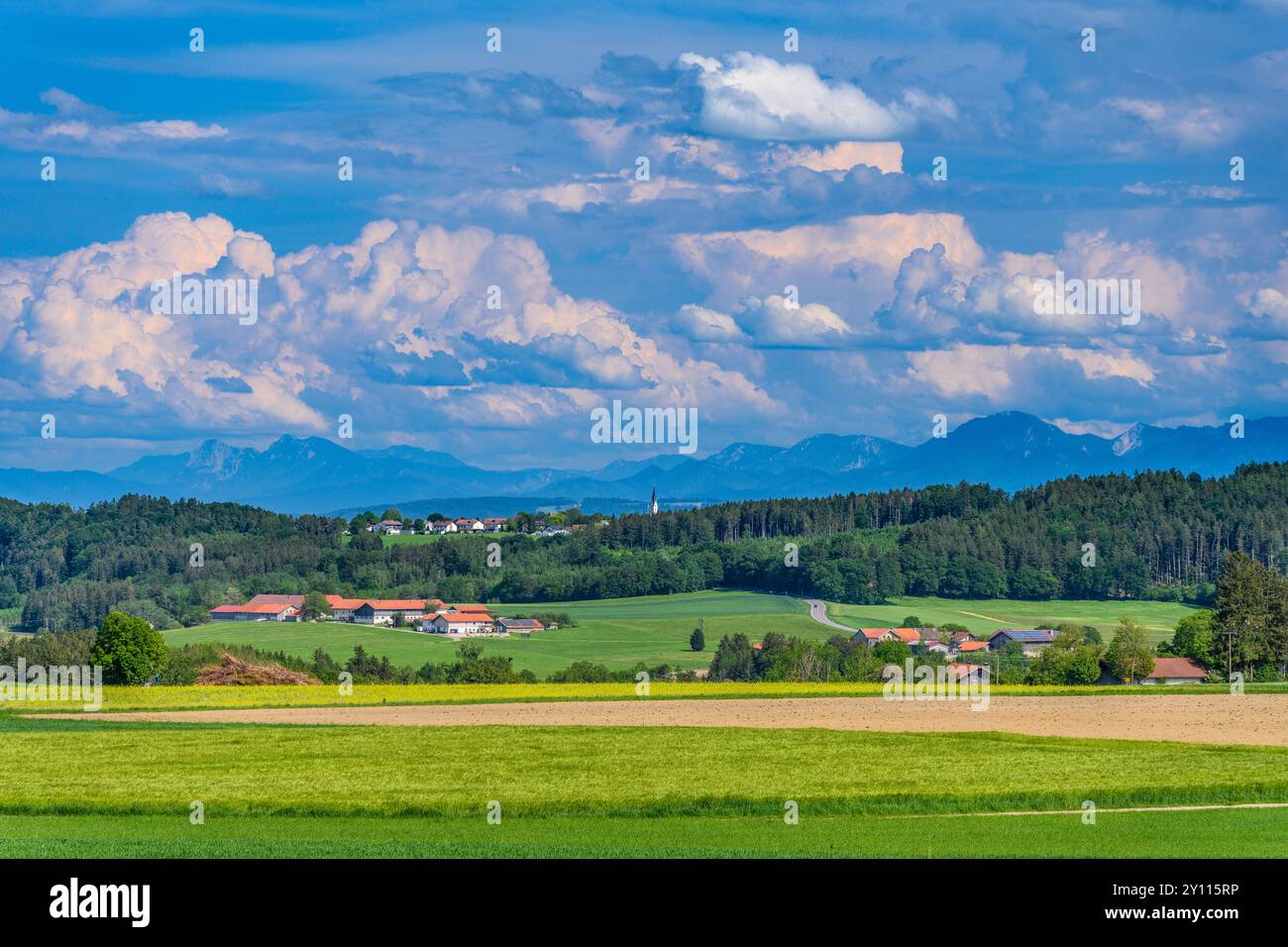 Germania, Baviera, distretto di Ebersberg, Glonn, Herrmannsdorf, vista vicino a Labyrinthberg verso le Alpi Chiemgau Foto Stock