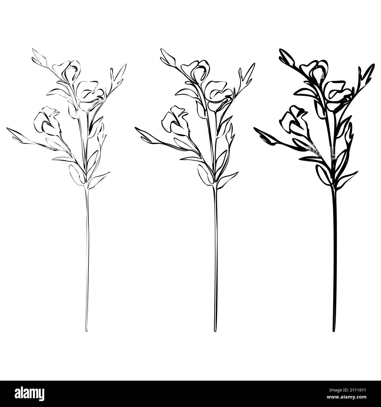 Set di disegni a linea continua Lisianthus. Bouquet floreali bianco e nero. Pagina da colorare dei fiori. Linea floreale art Illustrazione dei gigli sottili. Mano Illustrazione Vettoriale