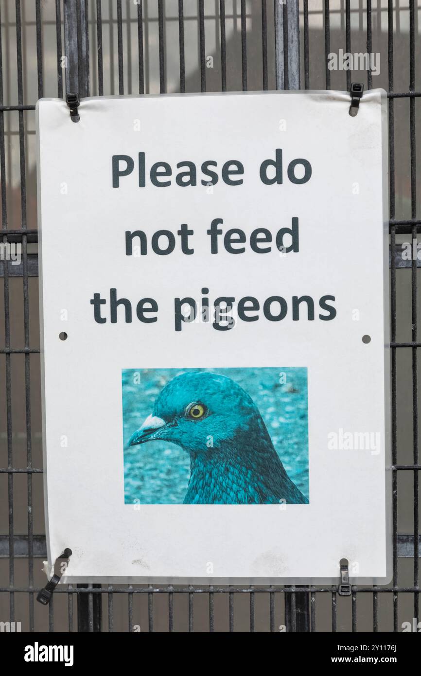 BAIWIFE Beware of Pigeon Signs 20,3 x 30,5 cm Segnali di avvertimento