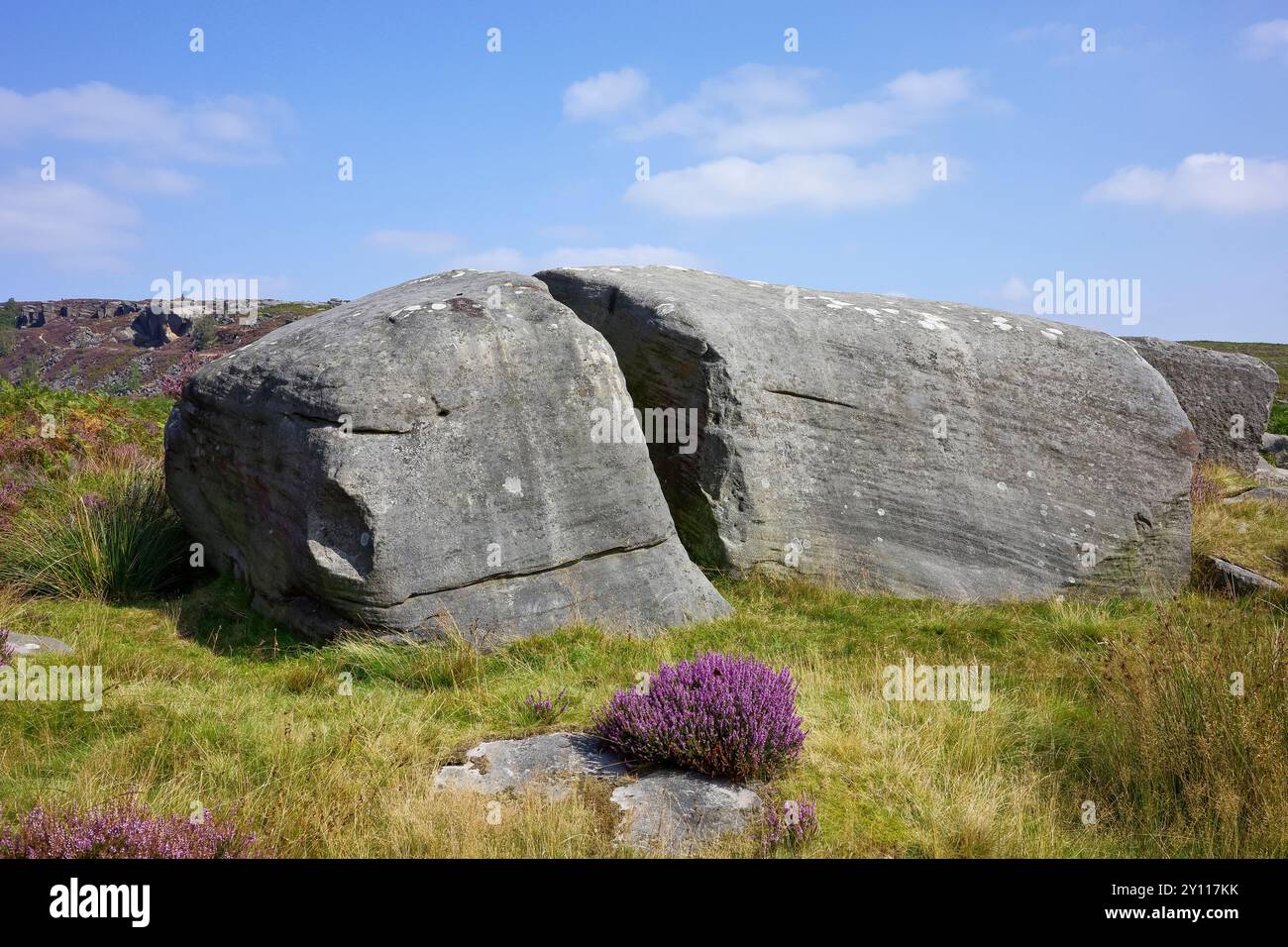 Hathersage Moor Derbyshire Regno Unito. Grandi massi intemprati in una brughiera erbosa con fiori selvatici viola sotto un cielo azzurro. Foto Stock