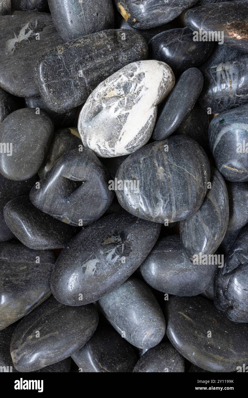 Ciottoli colorati, immagine di sfondo, primo piano, a grandezza naturale Foto Stock