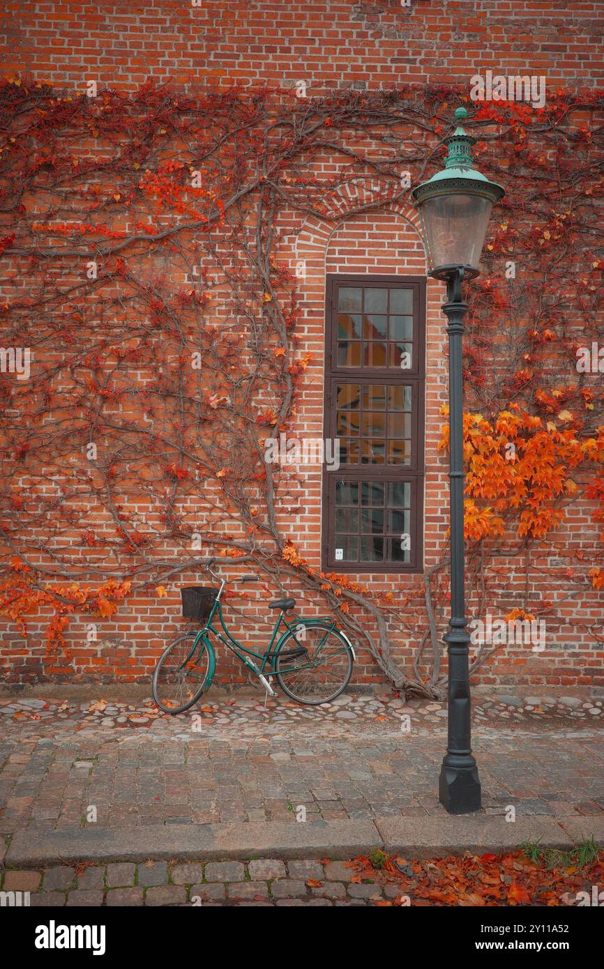 Copenhagen Travel Foto Stock