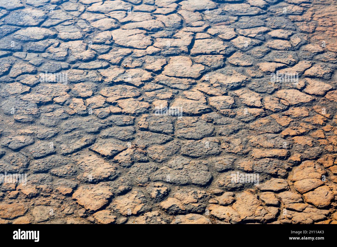 Le saline di Porto Vecchio, dettaglio, Corse-du-Sud, Corsica, Francia Foto Stock