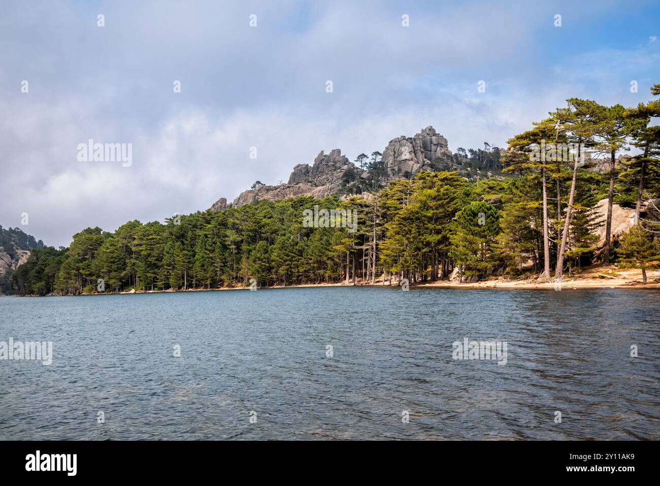 Il Lac de l'ospedale, area naturale di interesse faunistico e floristico ecologico nei pressi di Porto Vecchio, dipartimento della Corse-du-Sud, Corsica, Francia Foto Stock