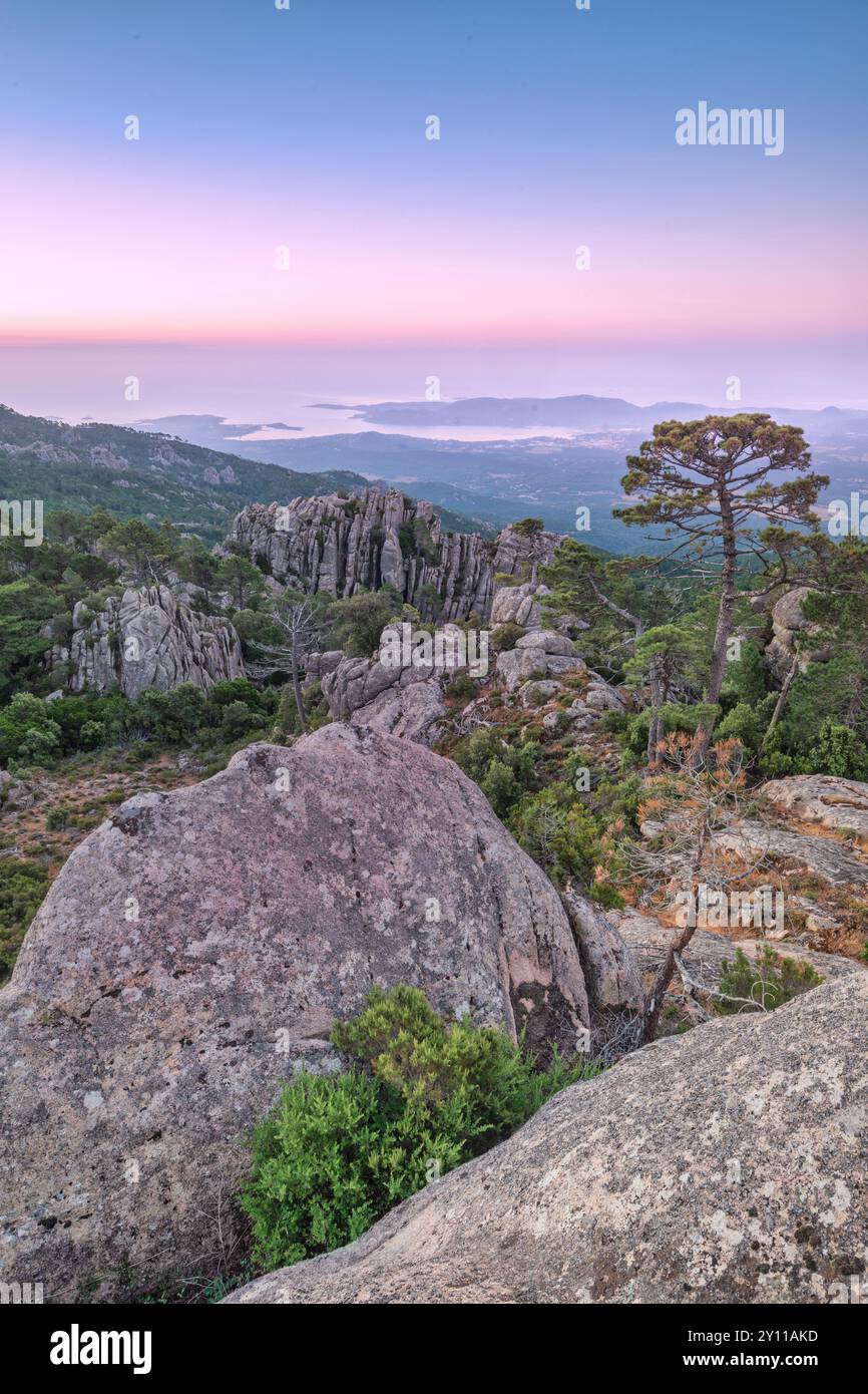 Foresta dell'ospedale, paesaggio naturale montano nell'entroterra della Corsica, comune di Porto Vecchio, Corsica meridionale, Francia Foto Stock