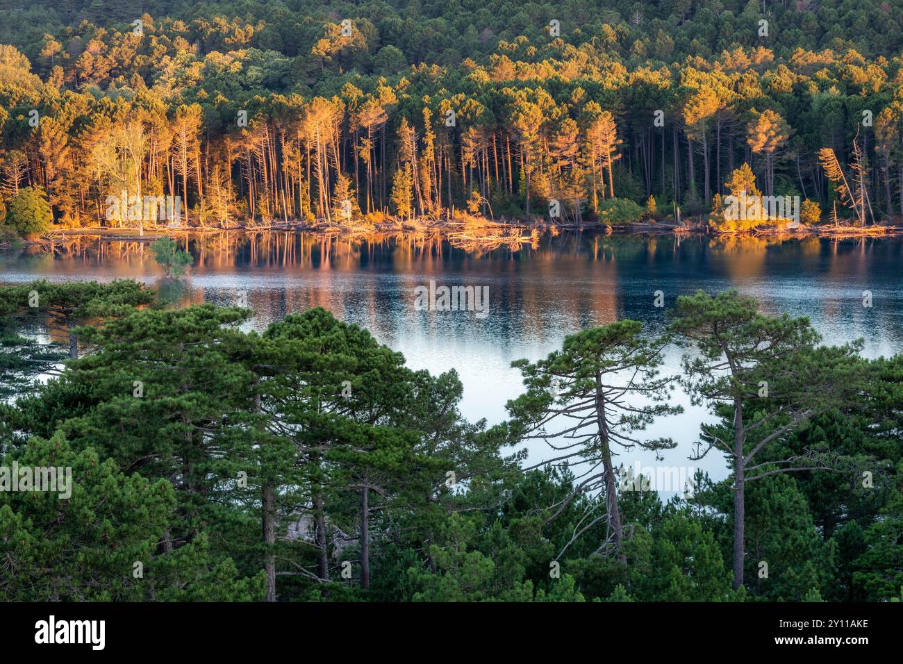 LAC de l'ospedale, area naturale di interesse faunistico e floristico ecologico nei pressi di Porto Vecchio, dipartimento della Corse-du-Sud, Corsica, Francia Foto Stock