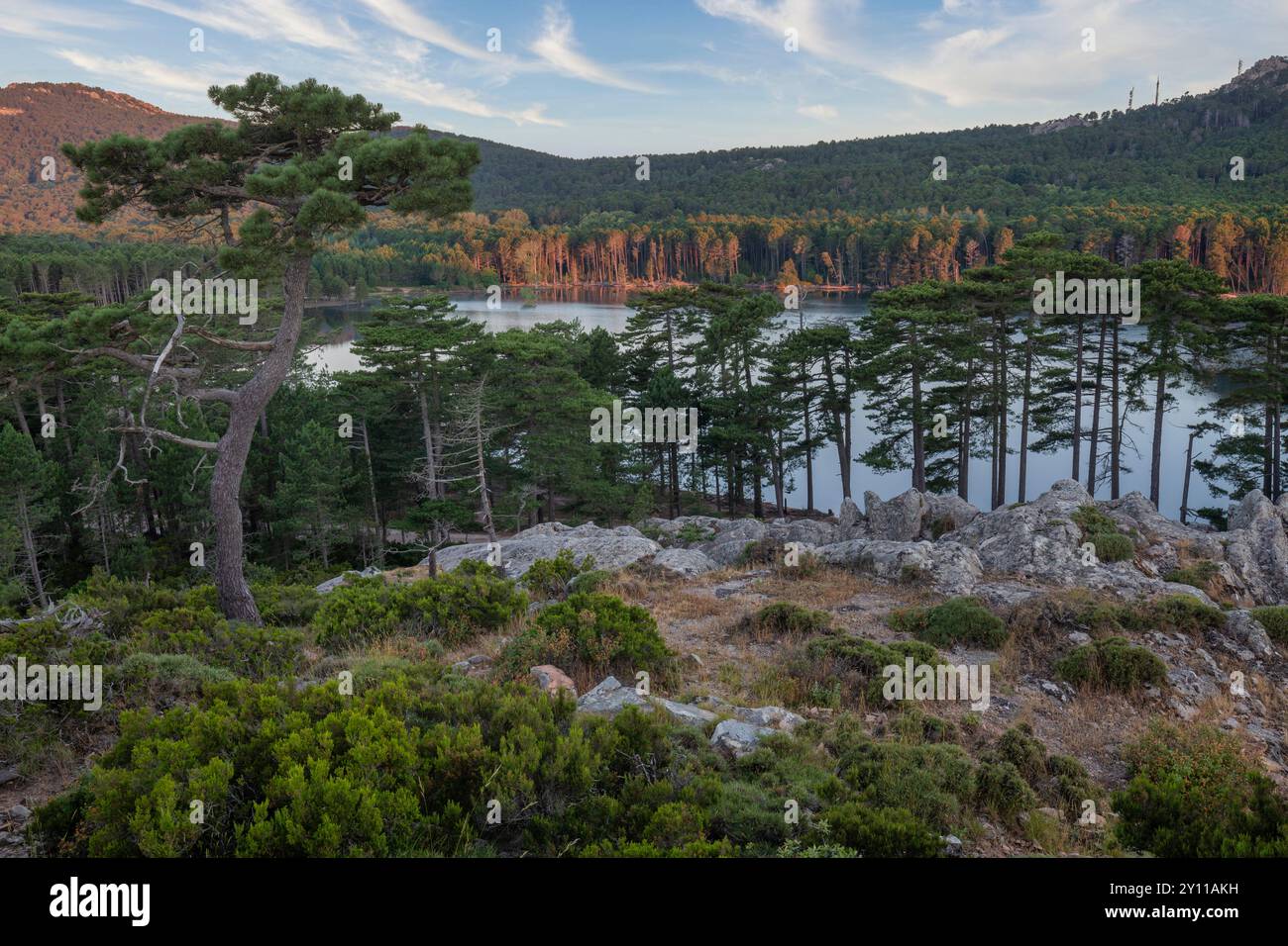 LAC de l'ospedale, area naturale di interesse faunistico e floristico ecologico nei pressi di Porto Vecchio, dipartimento della Corse-du-Sud, Corsica, Francia Foto Stock