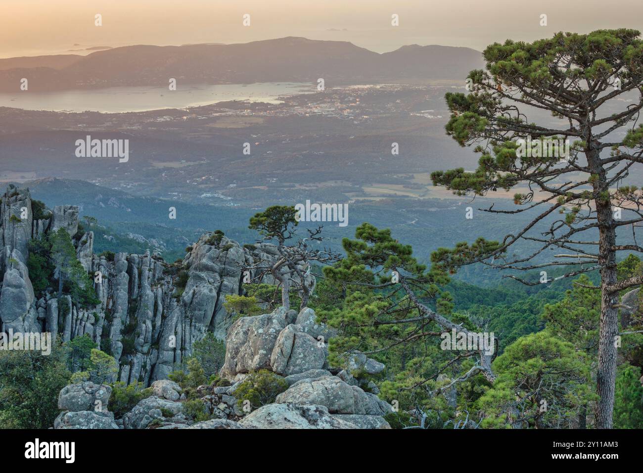 Foresta dell'ospedale, paesaggio naturale montano nell'entroterra della Corsica, comune di Porto Vecchio, Corsica meridionale, Francia Foto Stock