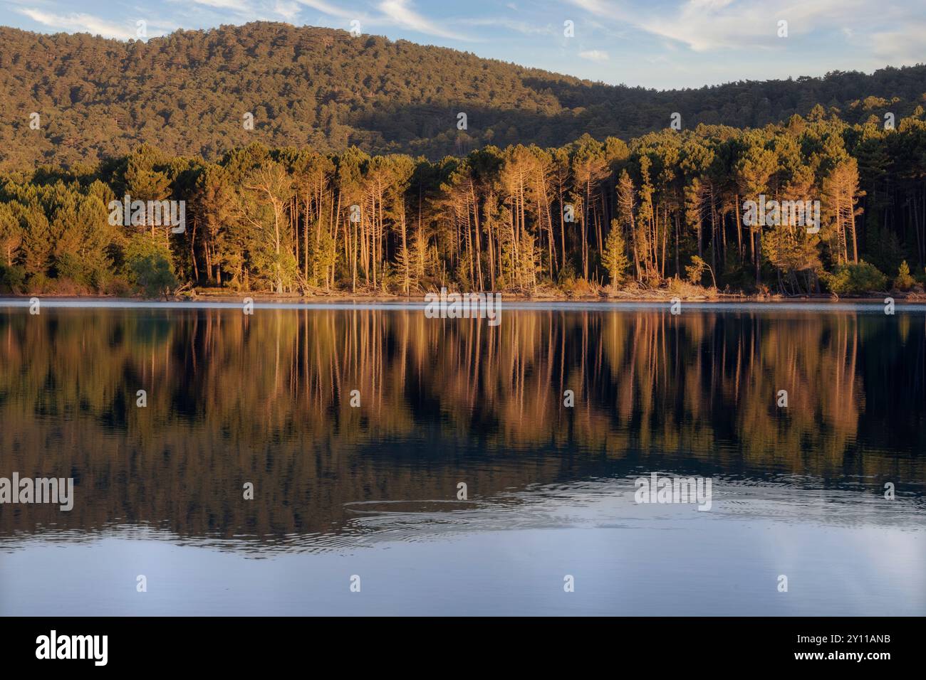 LAC de l'ospedale, area naturale di interesse faunistico e floristico ecologico nei pressi di Porto Vecchio, dipartimento della Corse-du-Sud, Corsica, Francia Foto Stock