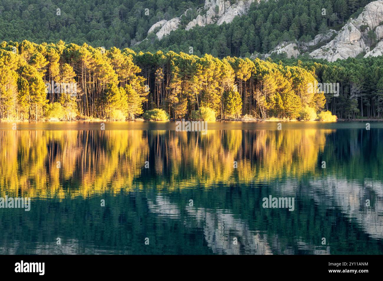 LAC de l'ospedale, area naturale di interesse faunistico e floristico ecologico nei pressi di Porto Vecchio, dipartimento della Corse-du-Sud, Corsica, Francia Foto Stock