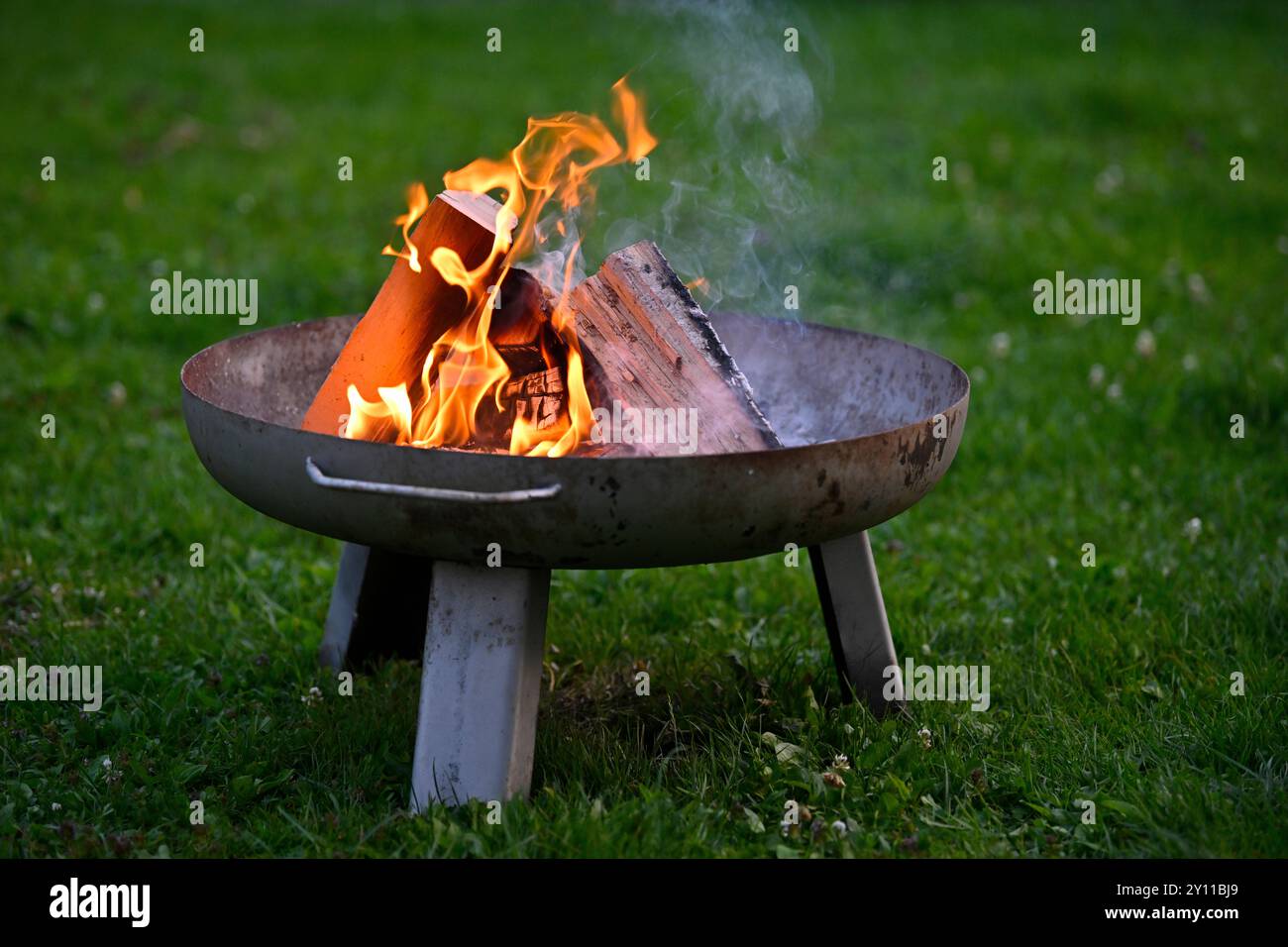 Ciotola per il fuoco in giardino, legna, fuoco, Stoccarda, Baden-Württemberg, Germania Foto Stock