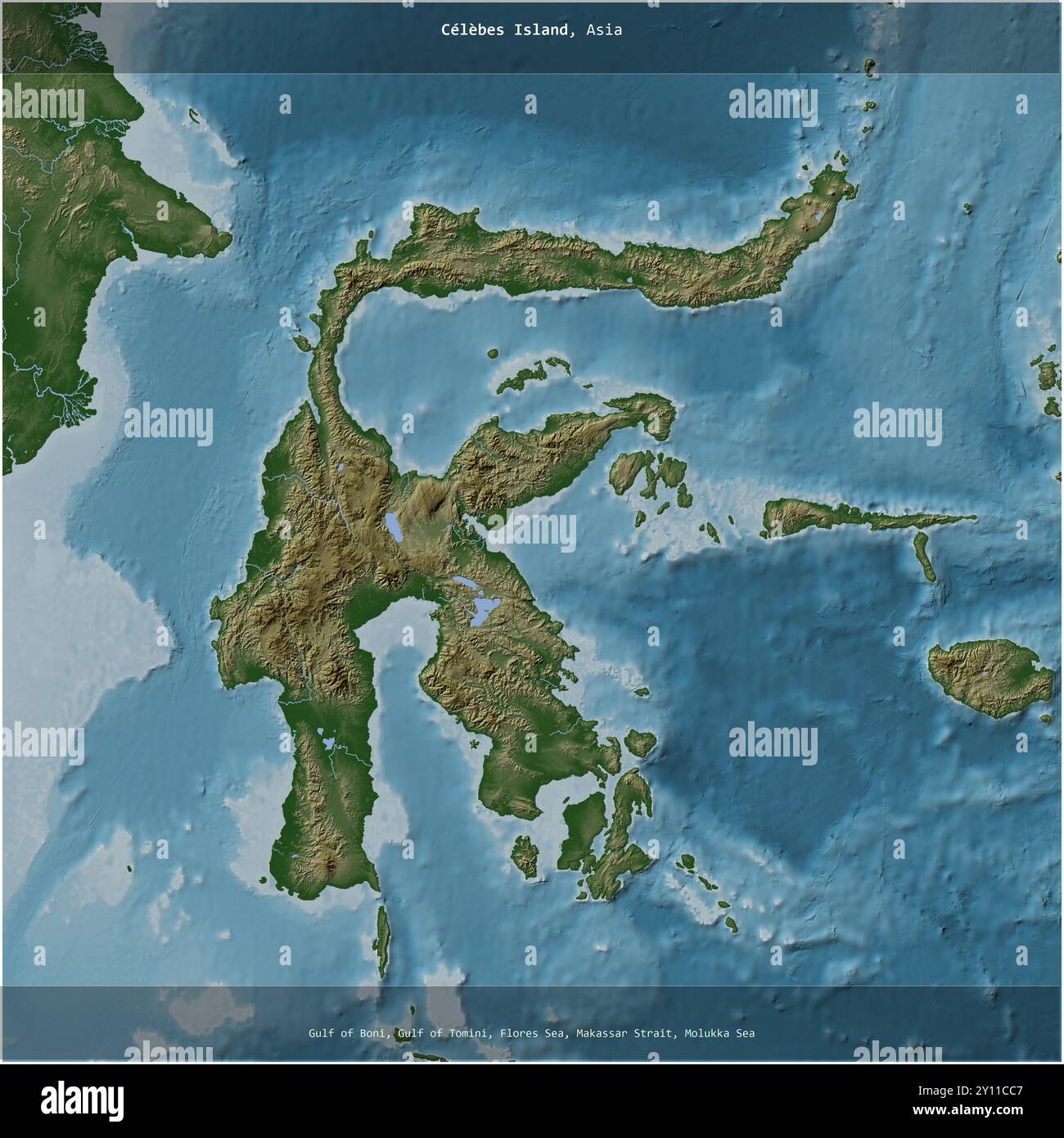 Isola di Celebes nel Mar di Giava, appartenente all'Indonesia, ritagliata in piazza su una mappa colorata di elevazione Foto Stock