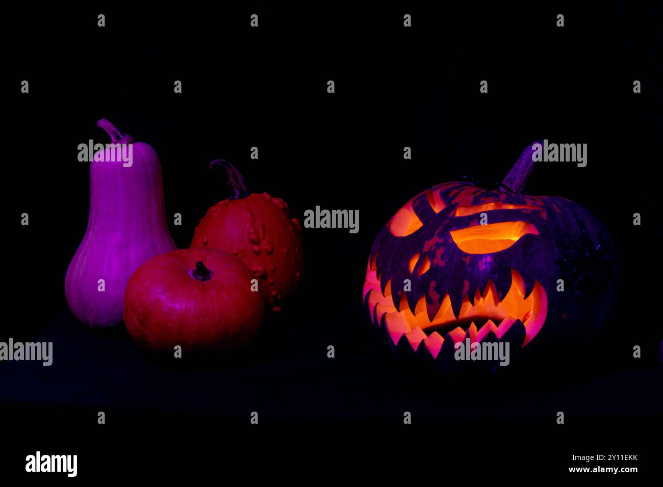 Una zucca con il volto spaventoso è circondata da altre zucche. La scena è spettrale e a tema Halloween Foto Stock