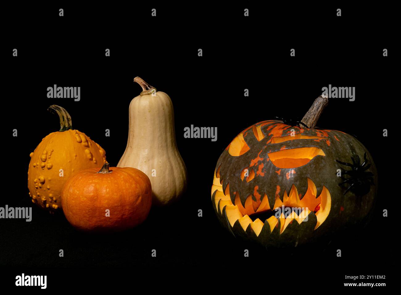 Una zucca con il volto spaventoso è circondata da altre zucche. La scena è spettrale e a tema Halloween Foto Stock