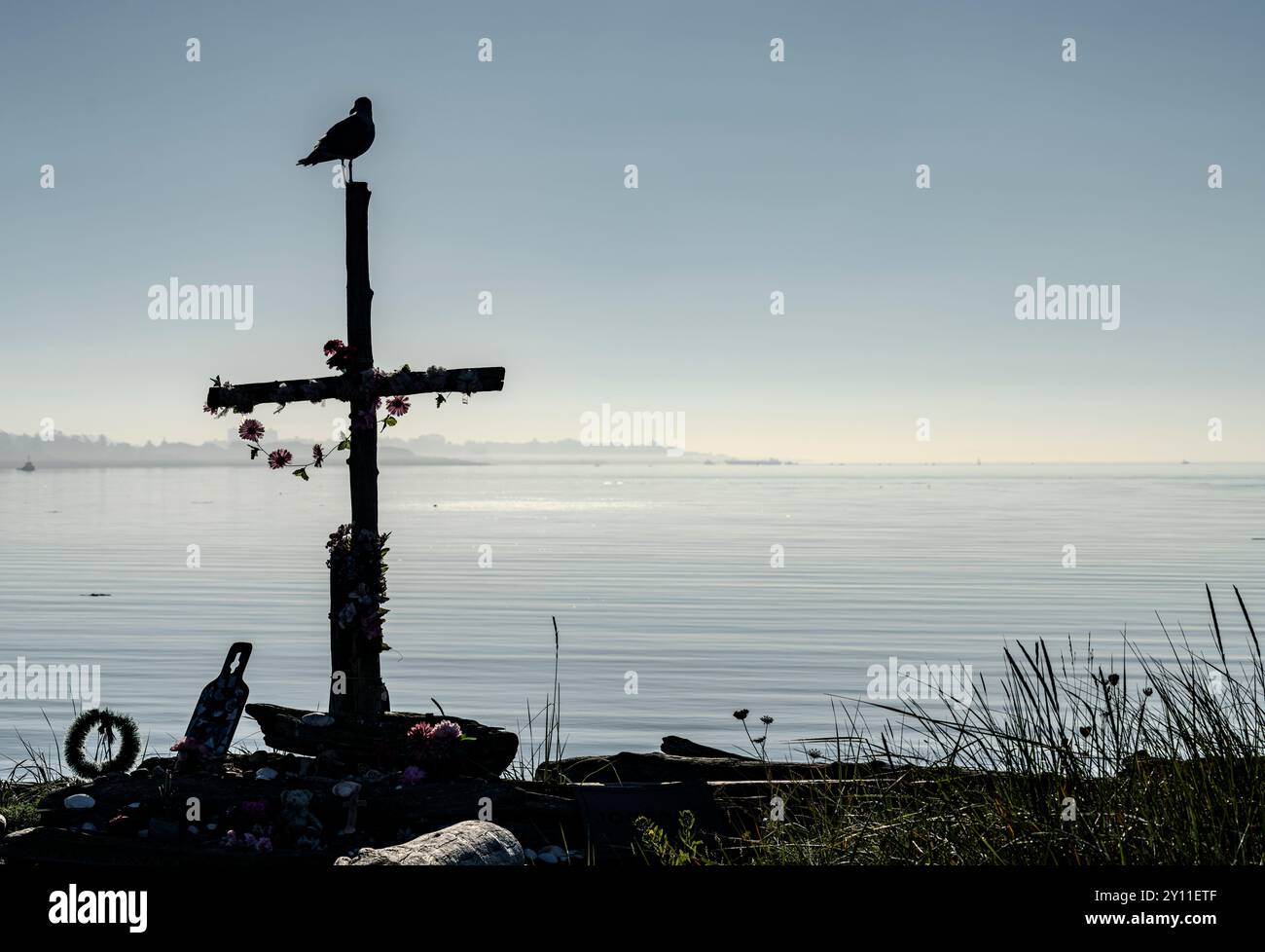Un gabbiano poggia su una traversata a mare sulla spiaggia di Esquimatl Lagoon a Colwood, Columbia Britannica, Canada. Foto Stock