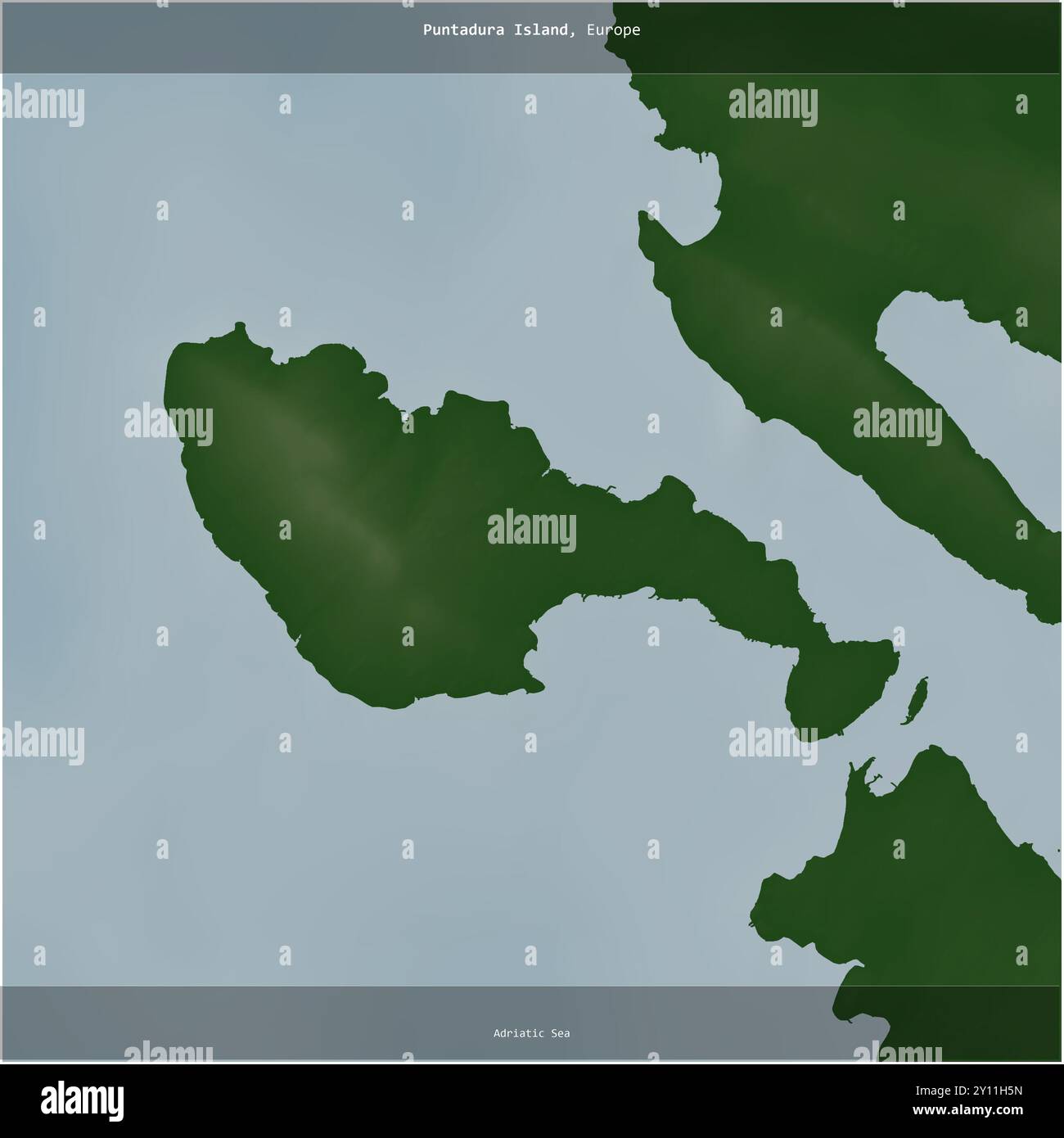 Isola di puntura nel Mare Adriatico, appartenente alla Croazia, ritagliata in piazza su una mappa colorata di elevazione Foto Stock