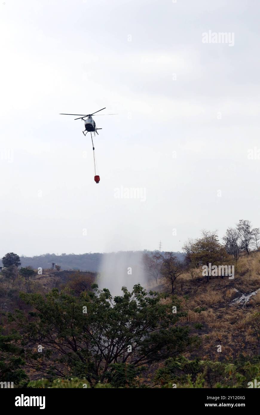 GYE FAE mITIGA FUEGO FORESTAL Guayaquil, mercoledì 4 settembre 2024 il 22° Stormo da combattimento dell'Aeronautica ecuadoriana, in coordinamento con i Vigili del fuoco di Guayaquil, ha affrontato diversi incendi negli ultimi giorni con l'aiuto di un elicottero dotato di un secchio Bambi con una capacità di 500 litri d'acqua, stanno combattendo incendi boschivi che si stanno sviluppando a causa delle alte temperature e dei forti venti foto CÃ sar Munoz API Guayaquil Guayas Ecuador EVN GYE FAEMITIGAFUEGOFOFORESTAL a85a1a4e657990b7007a057d5806c12 Copyright: xCÃ sarxMunozx Foto Stock