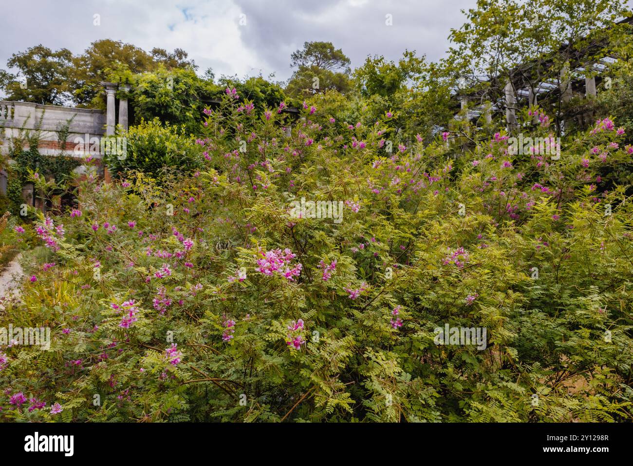 L'Hill Garden and Pergola è un bellissimo giardino nascosto nel nord di Londra. Foto Stock