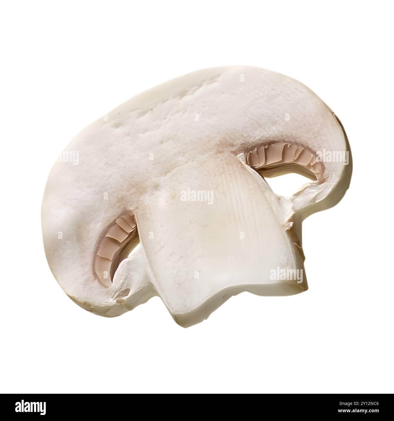 Fetta di fungo bianco con bottone champignon su sfondo bianco Foto Stock