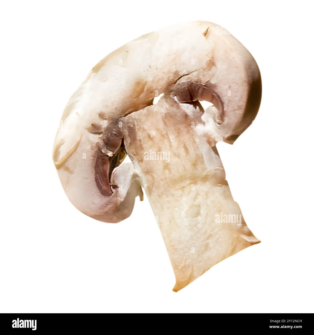 Fetta di fungo bianco con gambo su sfondo bianco Foto Stock