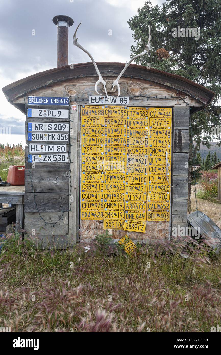 Divertente capanna in legno con targhe automobilistiche, collezione, Top of the World Highway, Alaska, Stati Uniti, Nord America Foto Stock