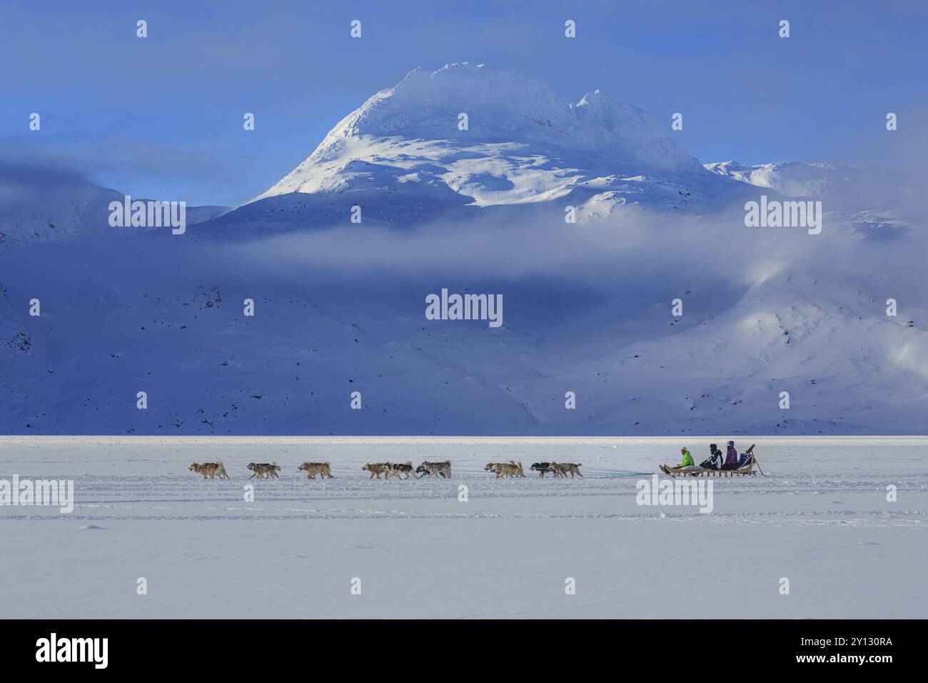 Turisti su slitte trainate da cani di fronte a montagne innevate, inverno, soleggiato, distretto di Ammassalik, Groenlandia orientale, Groenlandia, Nord America Foto Stock