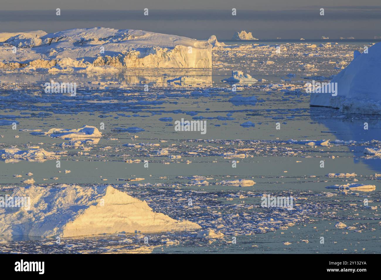 Iceberg e banchi di ghiaccio riflessi nell’acqua, estate, sole di mezzanotte, ghiacciaio e fiordo di ghiaccio Jakobshavn, Ilulissat Kangerlua, Disko Bay, Groenlandia occidentale, Foto Stock