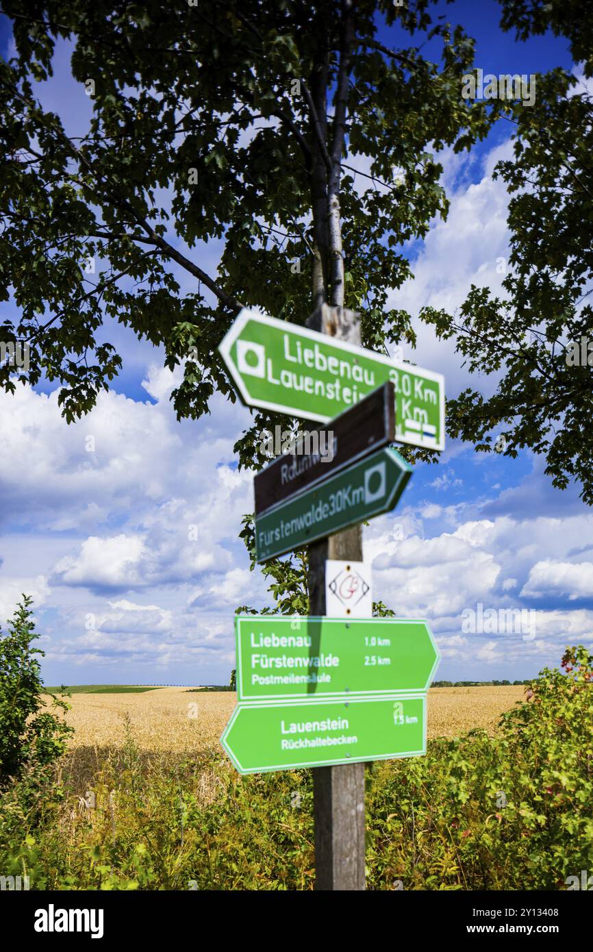 Cartello per escursioni vicino a Geising nelle montagne dell'ore, Geising, Geising, Sassonia, Germania, Europa Foto Stock